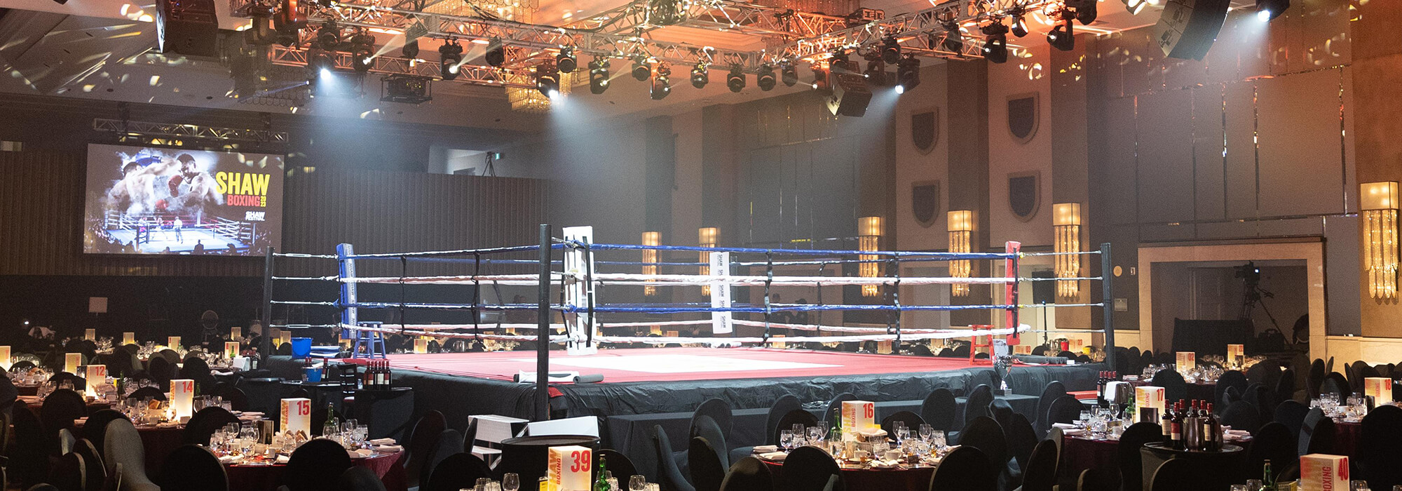 Boxing Ring